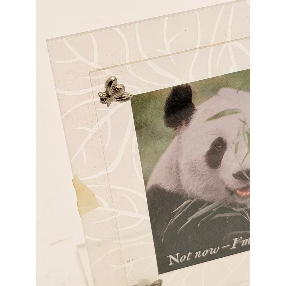Frosted Acrylic Picture Frame with Metal Bug Accents Butterfly Bee Frog Panda